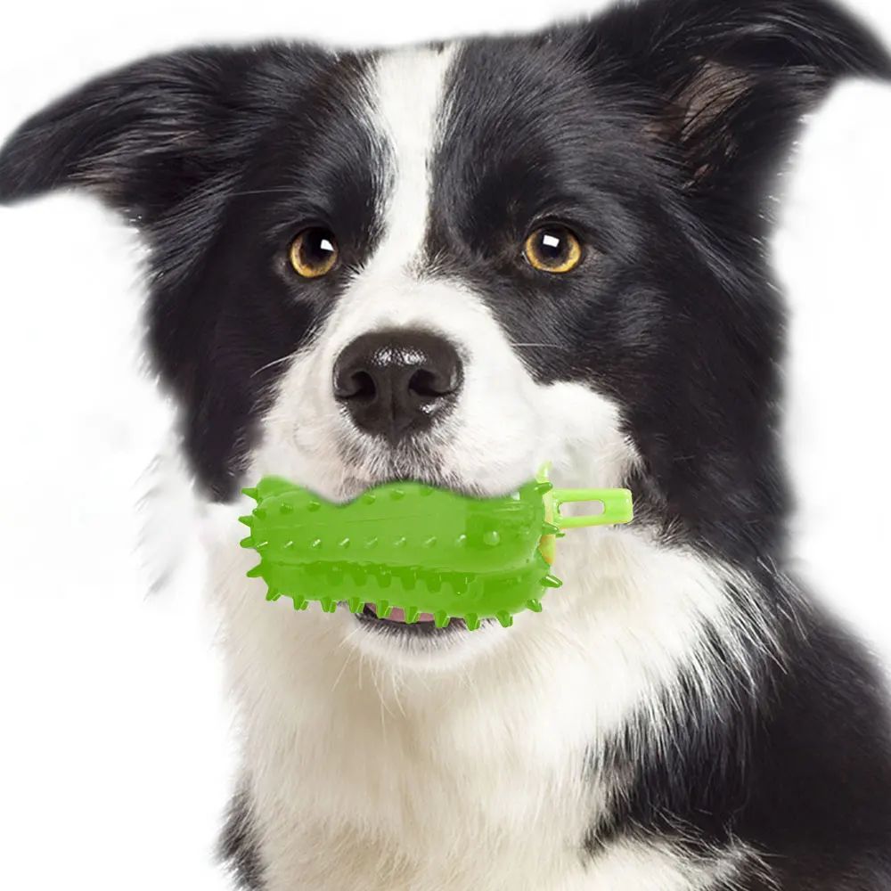 CJ Interactive Dog Teething Chili Chewers Toy, colorful rubber chew toy designed for teething and play.